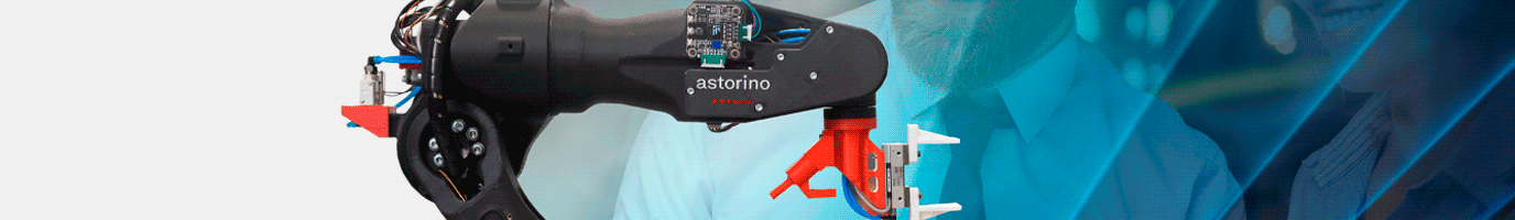 Tiesse Robot